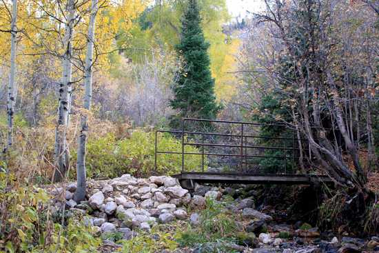 Autumn Bridge