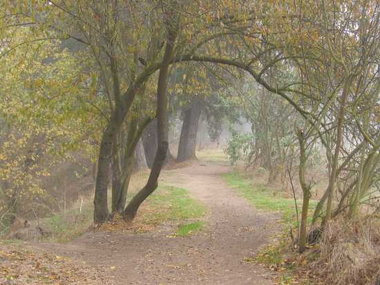 Autumn California Trail