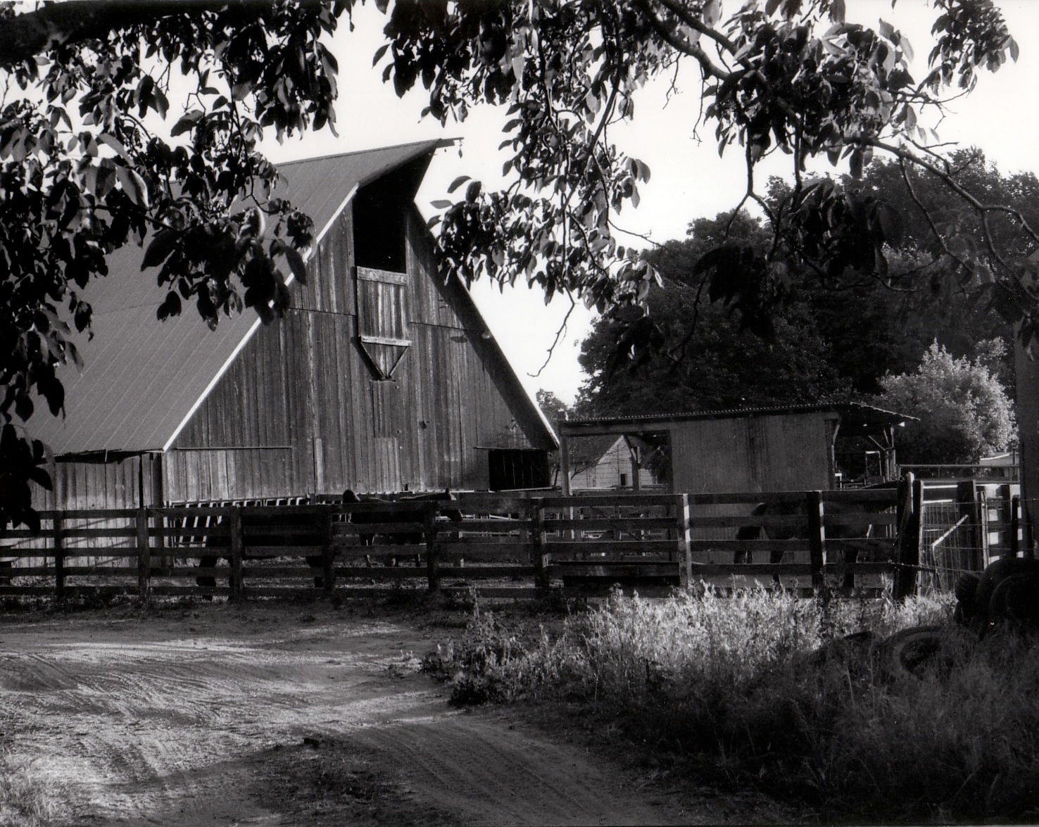 Closeup Barn in Black and White