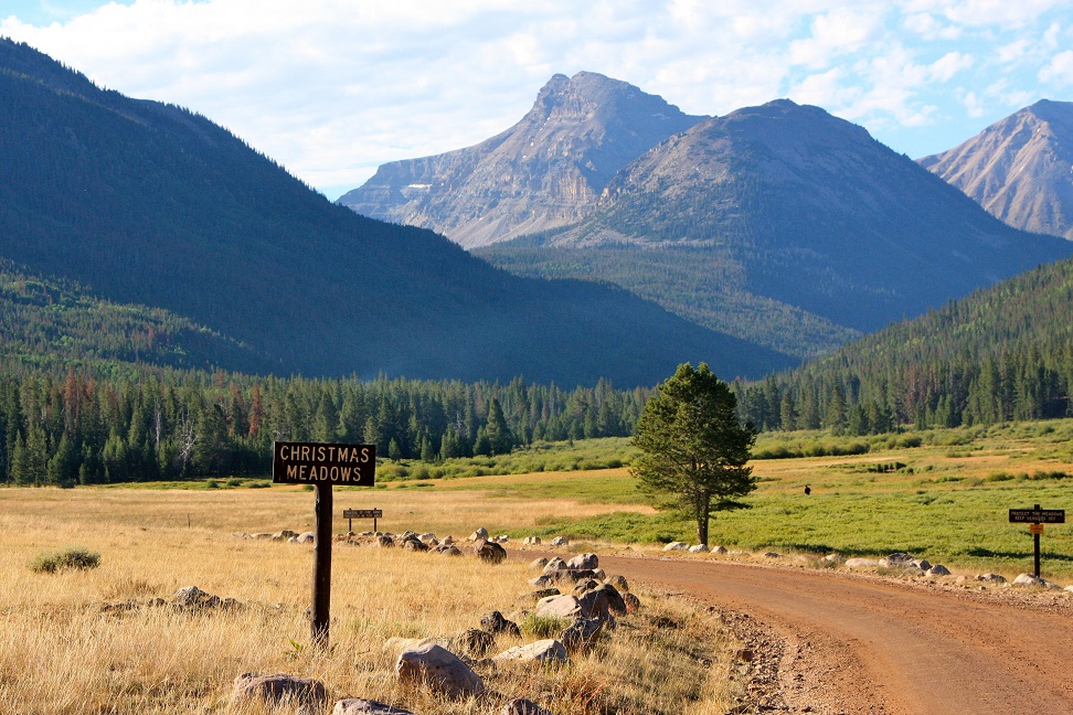 Christmas Meadows