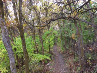 Mountain Trail from Above