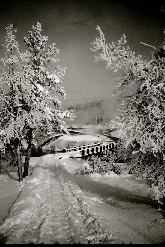 Snowy Trail in Black and White