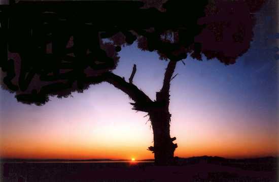 Sunset Great Salt Lake