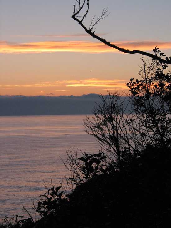 Sunset Twigs, Patricks Point