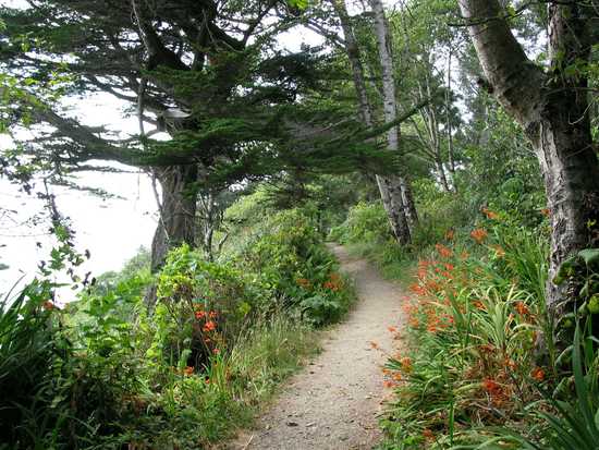 Oceanside Trail 2