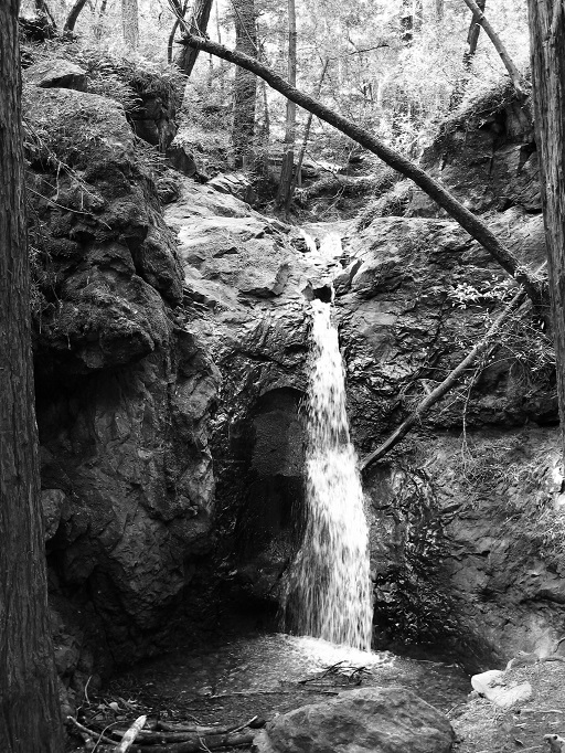 Marin Waterfall In Black and White