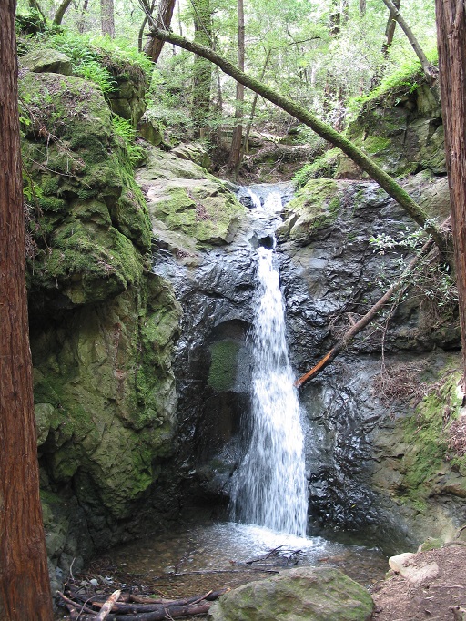 Marin Waterfall Vertical
